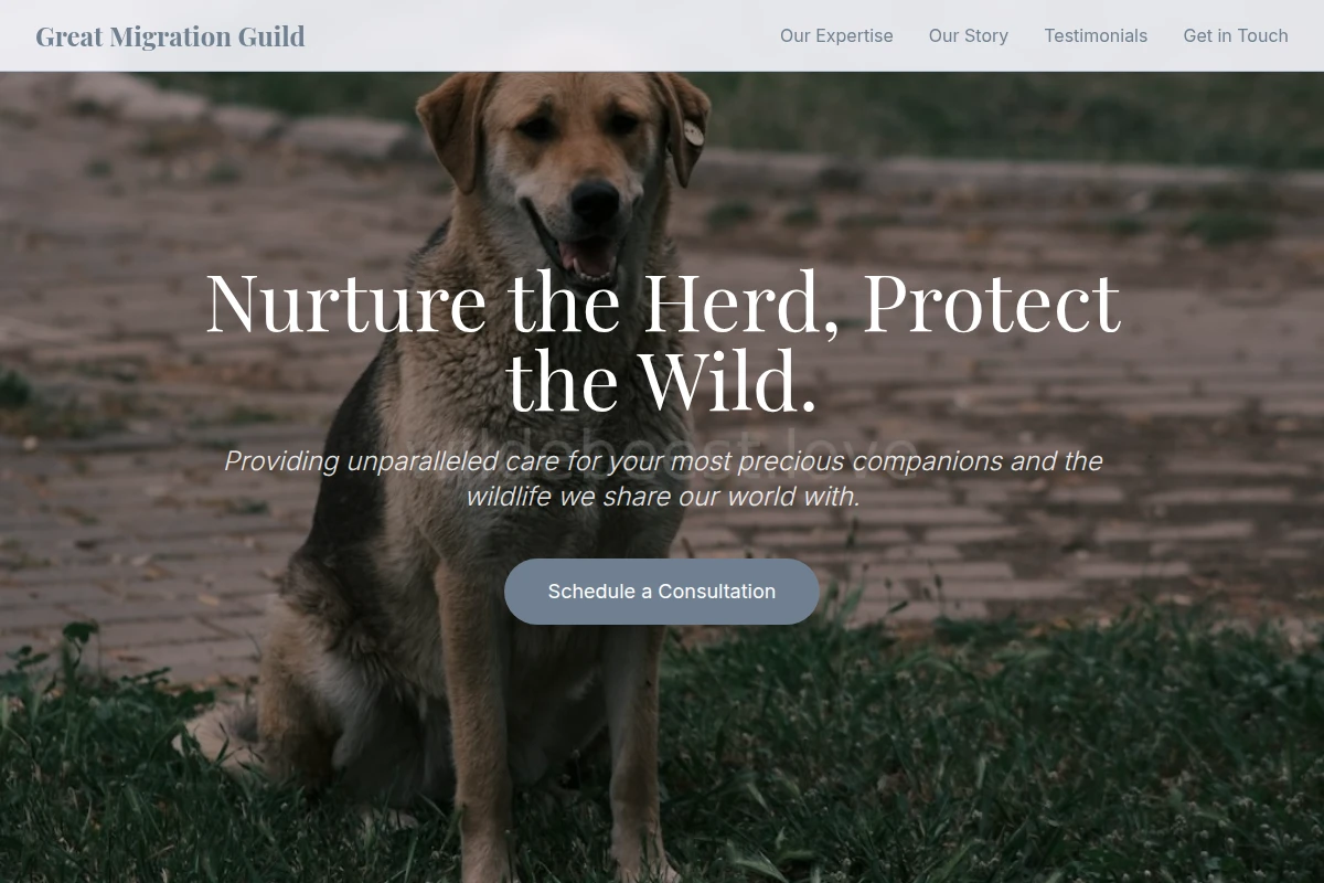 animal-care