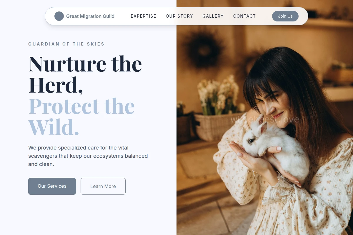Vulture Animal Care