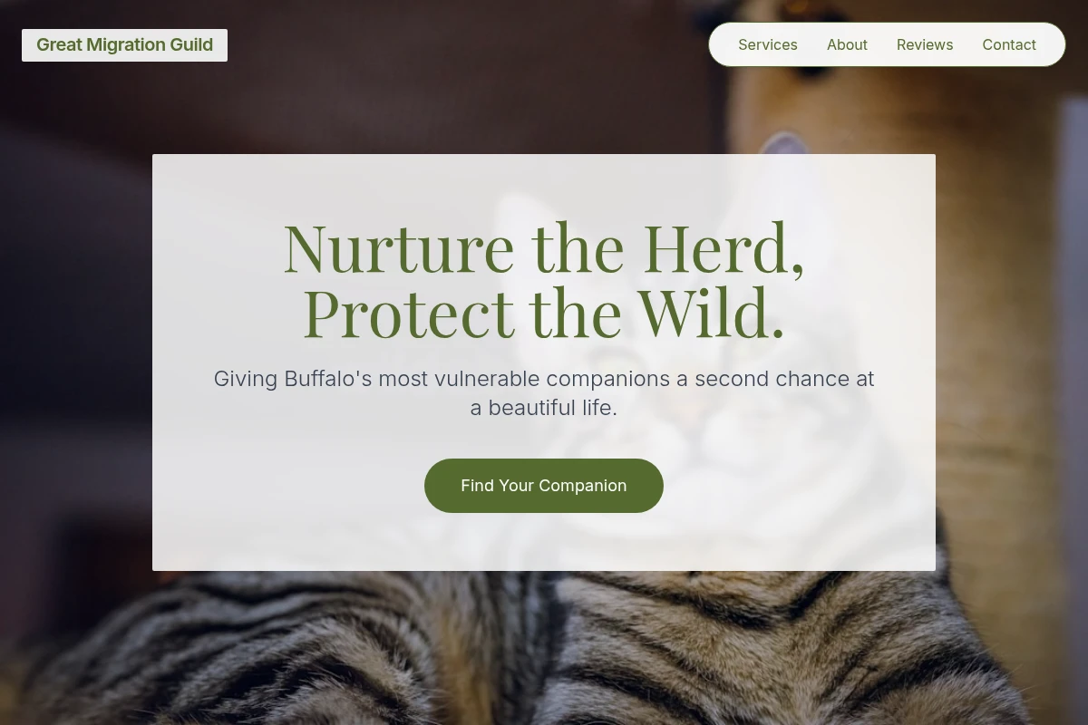 Buffalo Animal Shelter