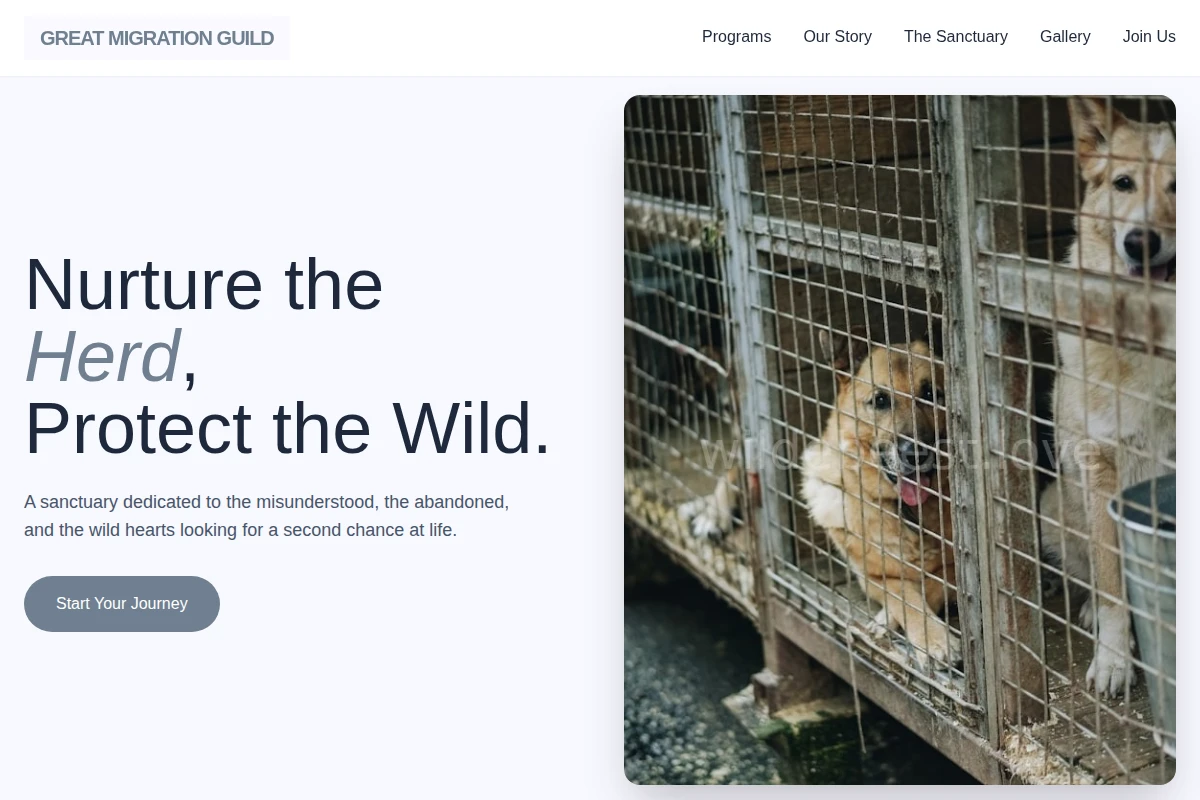 Sanctuary Animal Shelter