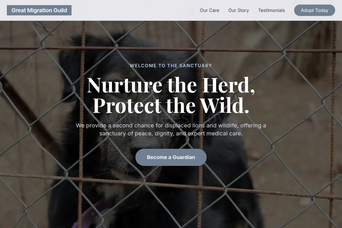 Lion Animal Shelter