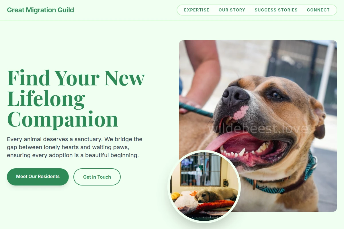 Sanctuary Animal Shelter